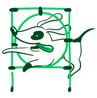 Cachorro pulando entre um aro