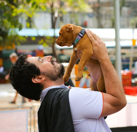 Vakinha Pet com Desabandone