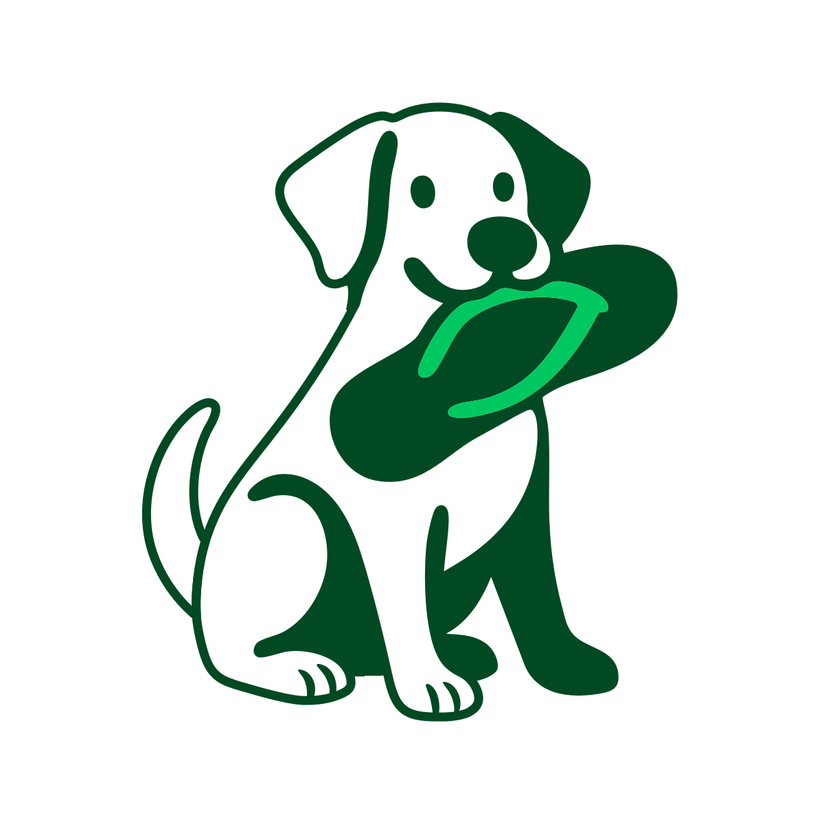 Imagem de um cachorro comendo uma havaiana