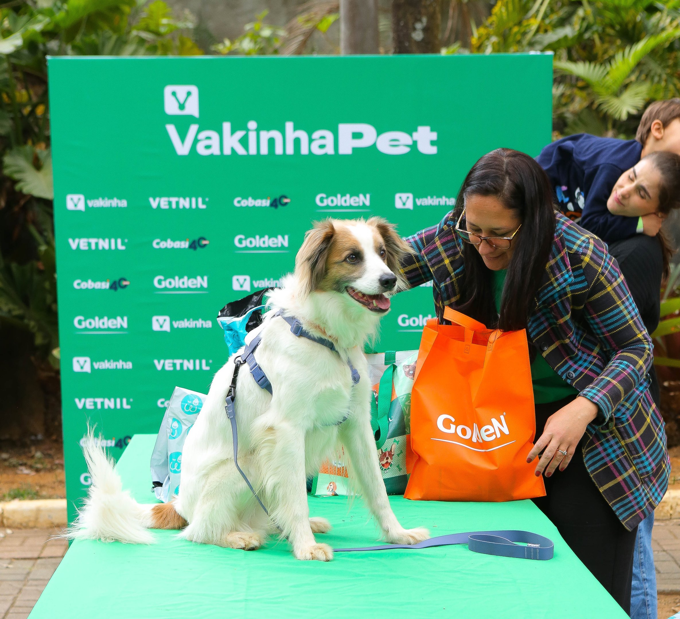 Imagem de um cachorro vestindo uma capa