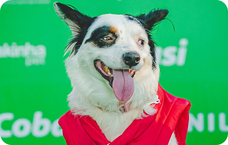 Foto da edição de outubro de 2023 do evento Vakinha Pet