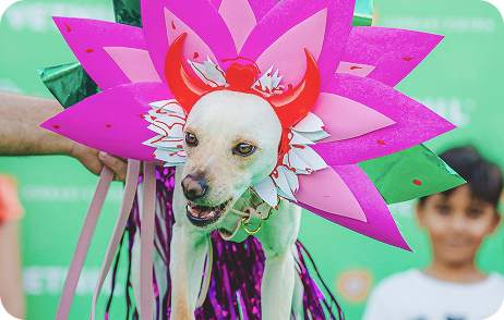 Foto da edição de outubro de 2024 do evento Vakinha Pet