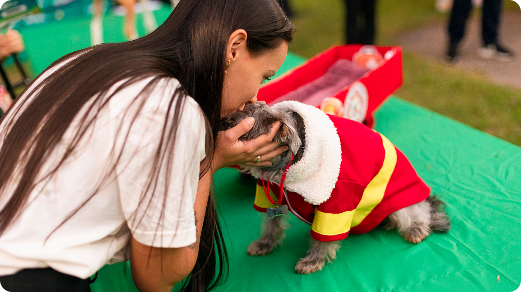 foto de um cachorro com fantasia de unicórnio