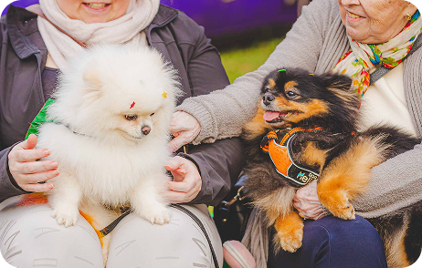 Foto da edição de setembro de 2024 do evento Vakinha Pet