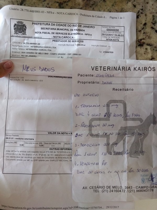 Nota fiscal do veterinário e receita
