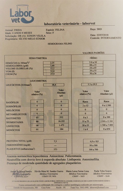 Hemograma