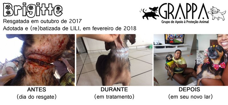 ANTES E DEPOIS DA BRIGITTE