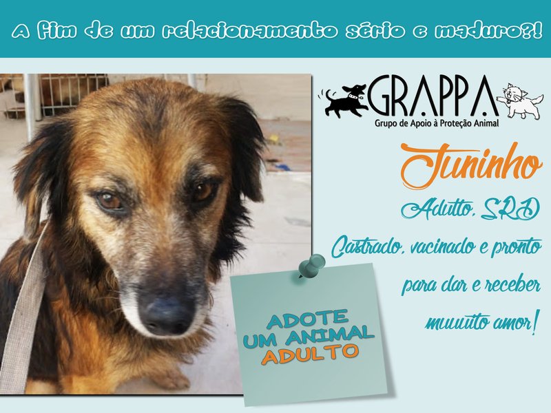 ME LEVA PRA CASA?!