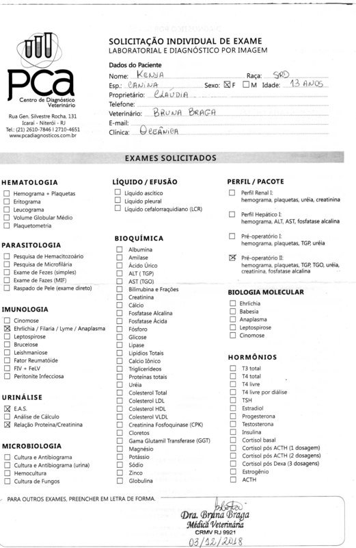 Pedido 1 (Exames)
