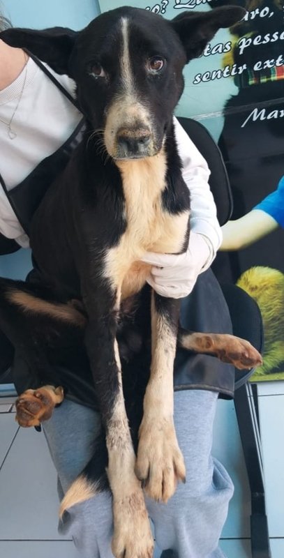 Moreno merece viver!