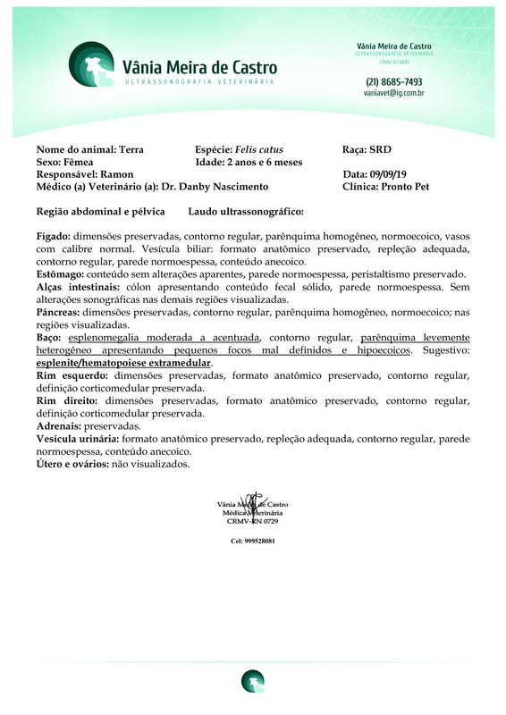 Ultrassonografia