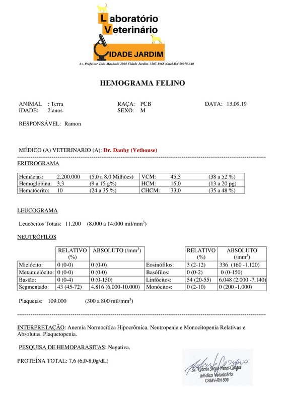 Hemograma