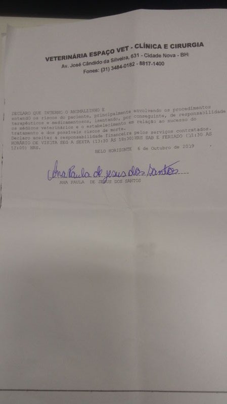 Termo de internaçao do Froid