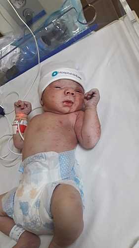 Descrição: C:\Users\Fhits\Downloads\9252008b-cb82-4ac0-91d8-b5a7fb39fd46.jpg