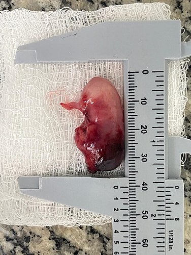 A picture containing measure, object

Description automatically generated