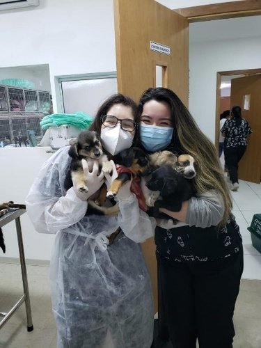 Mulher segurando urso de pelúcia
Descrição gerada automaticamente com confiança média