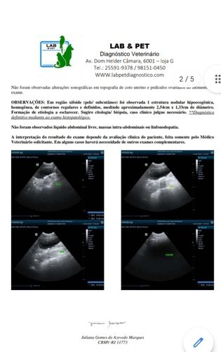 Oi gente! Me chamo Kira Cristina e minha tutora se chama Silvane Pereira.  Essa semana descobrimos que estou dodoi e preciso fazer uma cirurgia. Retirada de cálculos  na bexiga e um nódulo no baço. Precisamos muito de sua ajuda e ficaremos muito feliz se vc puder nos ajudar com qualquer quantia. Precisamos de $2000.00 reais para a cirurgia e custos. Eu e minha mamãe humana ficaremos muito feliz com a ajuda de todos. Desde já  agradecemos. Muito obrigada.