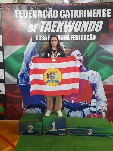 Campeão Copa Santa Catarina