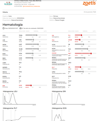 Imagem 3 - Exames de sangue
