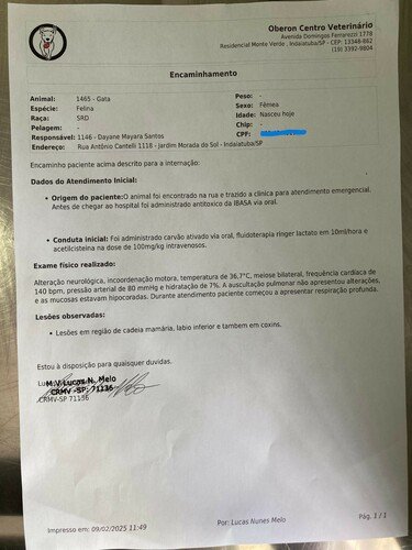 Imagem 1 - Relatório da consulta