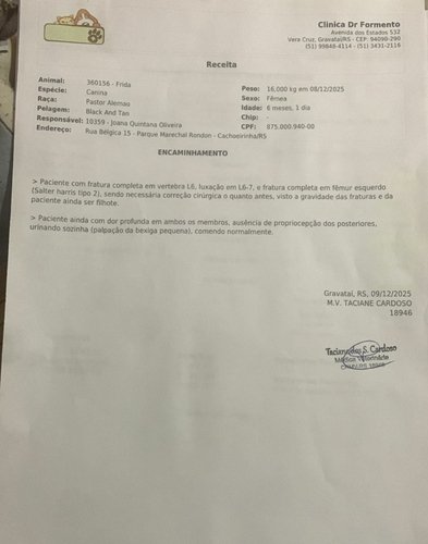 O que já foi gasto com internação, fora a cirurgia. 