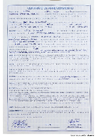 Momento de vulnerabilidade