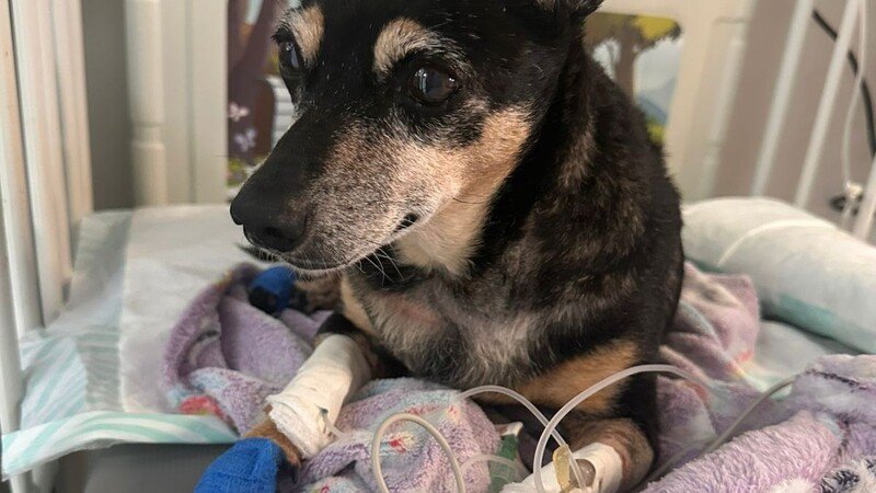 Imagem da galeria da campanha