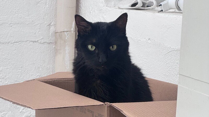 Imagem da galeria da campanha