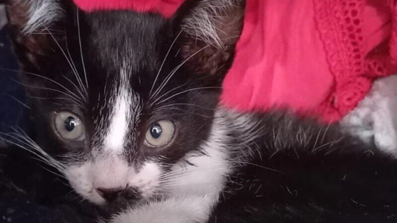 Imagem da galeria da campanha