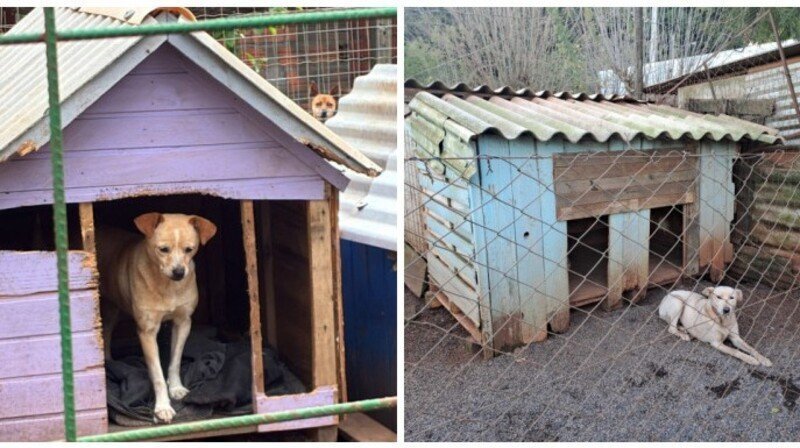 Imagem da galeria da campanha