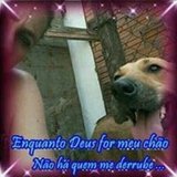 andrea nunes de oliveira