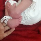 KELLY PEREIRA DA SILVA 