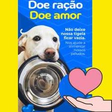 Rosane Ribeiro Figueiredo de Souza