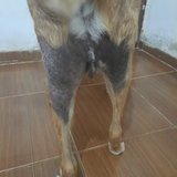 ALESSANDRA DE SOUZA TEIXEIRA PAIXAO