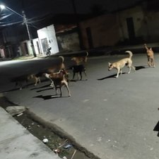 Imagem de avatar do usuário