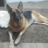 Leandro