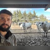 Guilherme Swiatowski