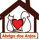 Alessandra Piagem