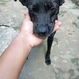 Rafael bento caxias oliveira 