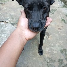 Rafael bento caxias oliveira 
