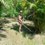 VALQUIRIA AGUIRRE LAZZAROTTO
