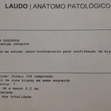 Severina cordeiro da costa 