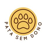 Patas sem dono 🐾