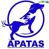 APATAS- UNIVERSO VERDE