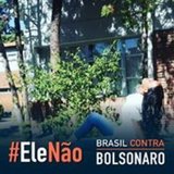 Bianca Cristina de Lima Conceição Purcino