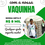 CIRURGIA MATHEUS PHILLIPE GONÇALVES DA SILVA 