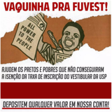 Por que a USP não tem cotas? 