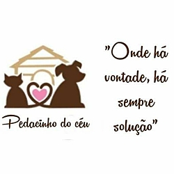 Pedacinho do céu