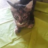 Todos por Rubi 