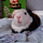 Dorinha